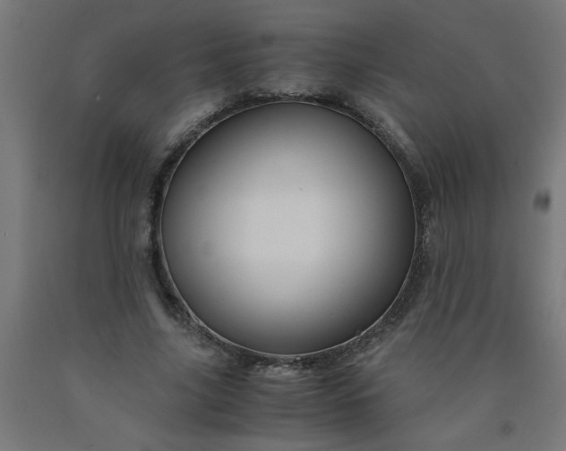 X0000090620635200707311245