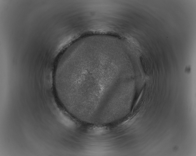 X0000090620638200707311245