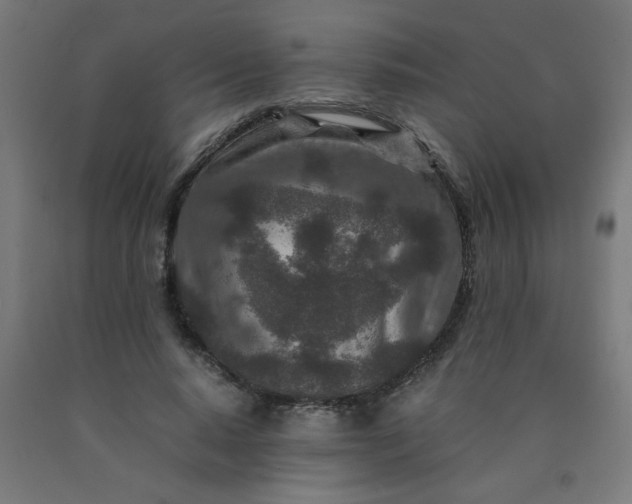 X0000090620640200707311245
