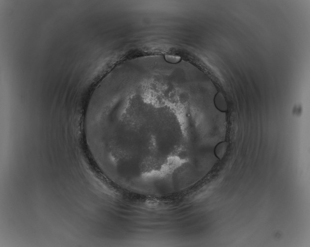 X0000090620641200707311245