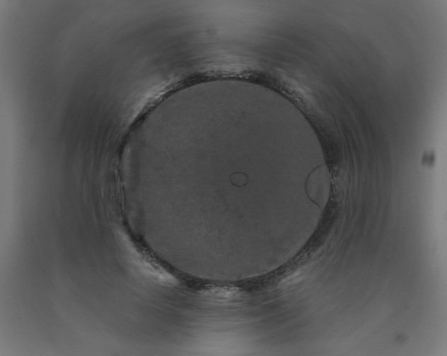 X0000090620642200707311245