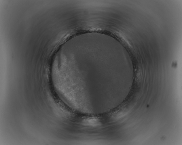 X0000090620643200707311245