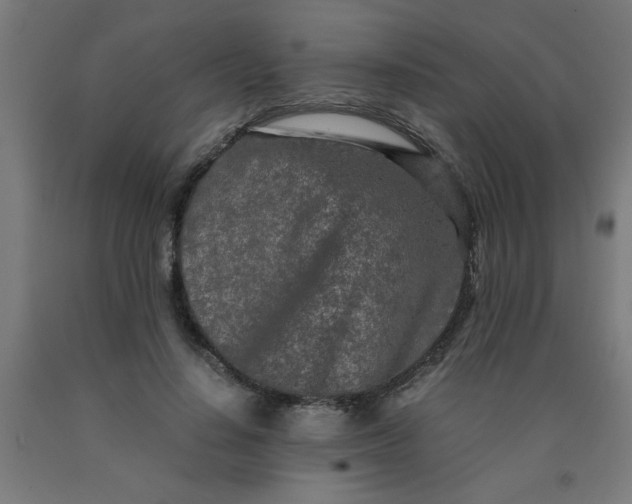 X0000090620644200707311245