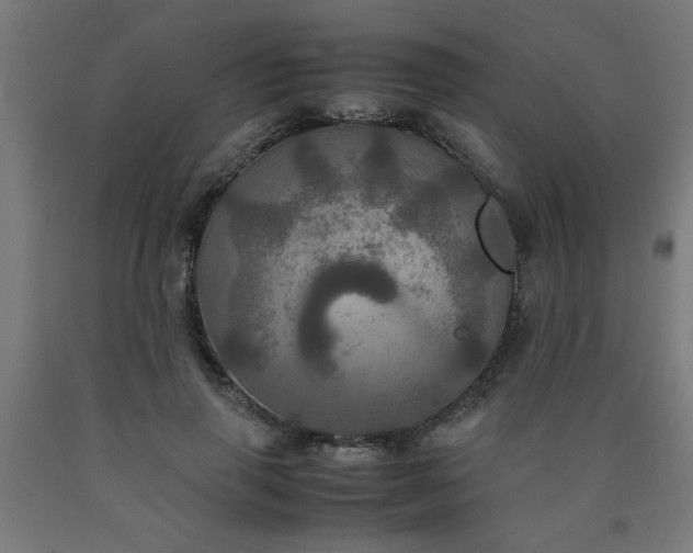 X0000090620645200707311245