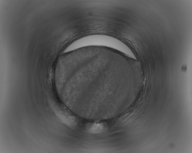 X0000090620647200707311245