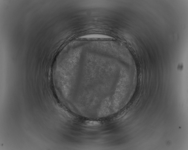 X0000090620649200707311245