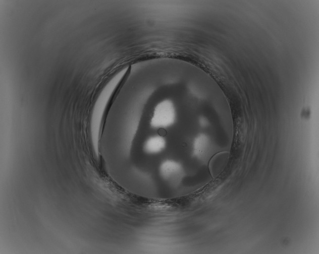 X0000090620650200707311245