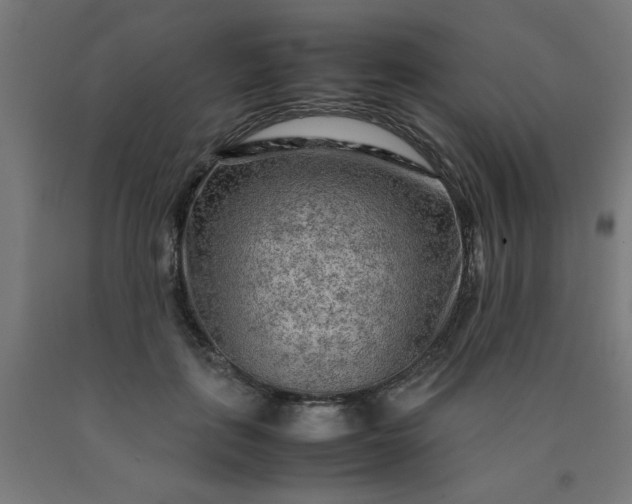 X0000090620651200707311245
