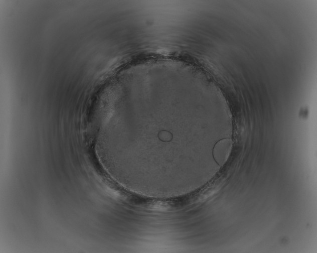 X0000090620656200707311245