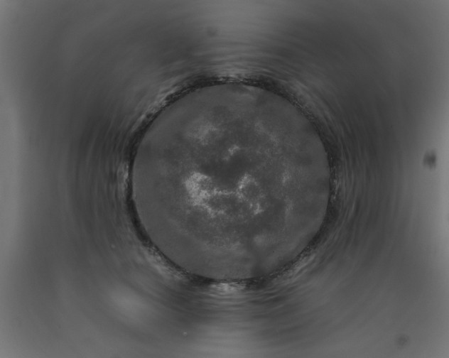 X0000090620660200707311245