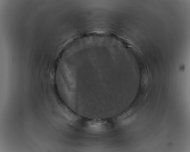 X0000090620661200707311245
