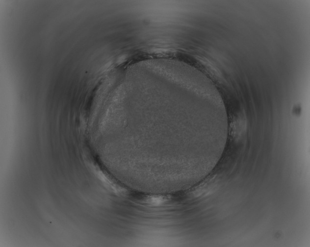 X0000090620662200707311245
