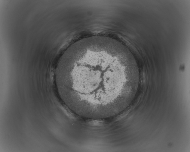 X0000090620664200707311245