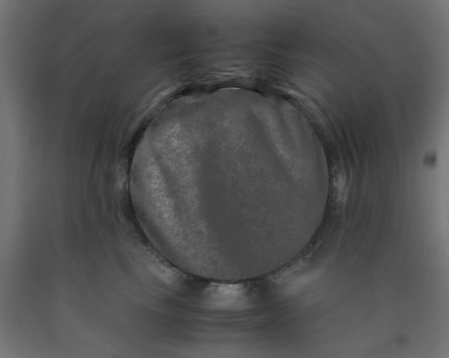 X0000090620665200707311245