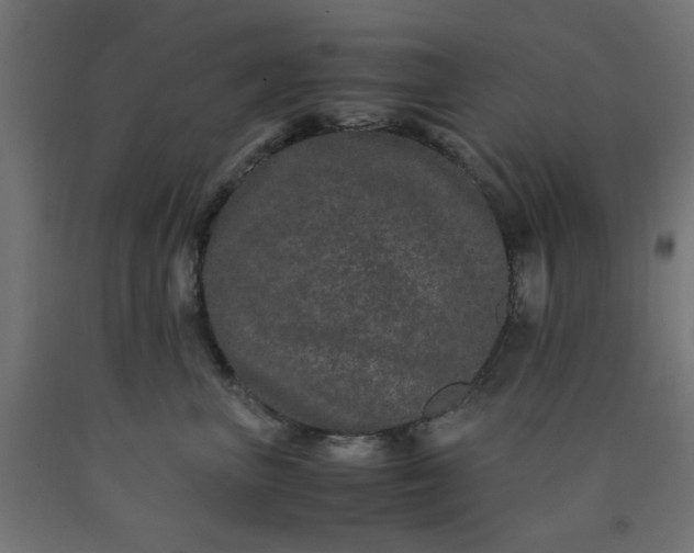 X0000090620667200707311245