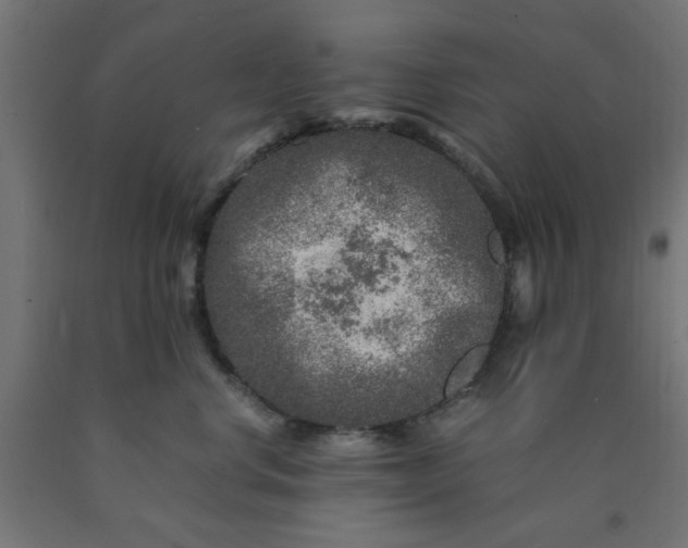 X0000090620668200707311245
