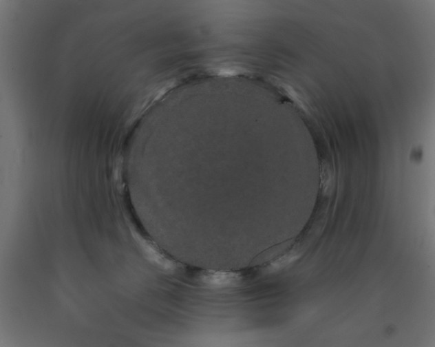 X0000090620670200707311245
