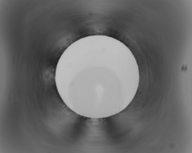 X0000090620672200707311245