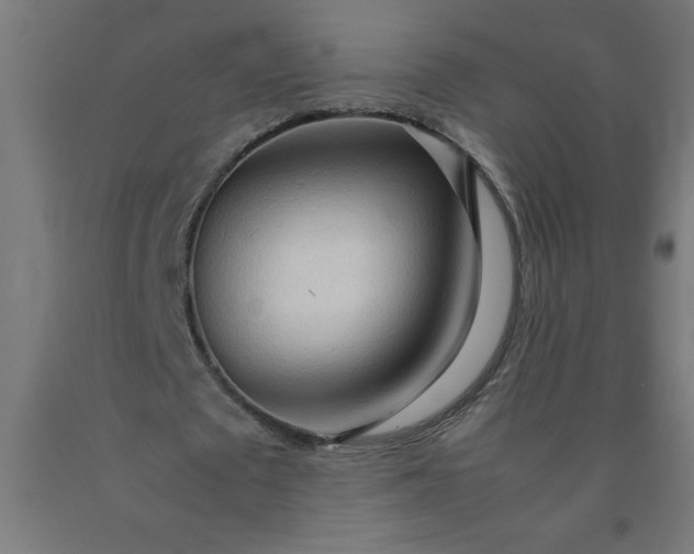 X0000090620673200707311244