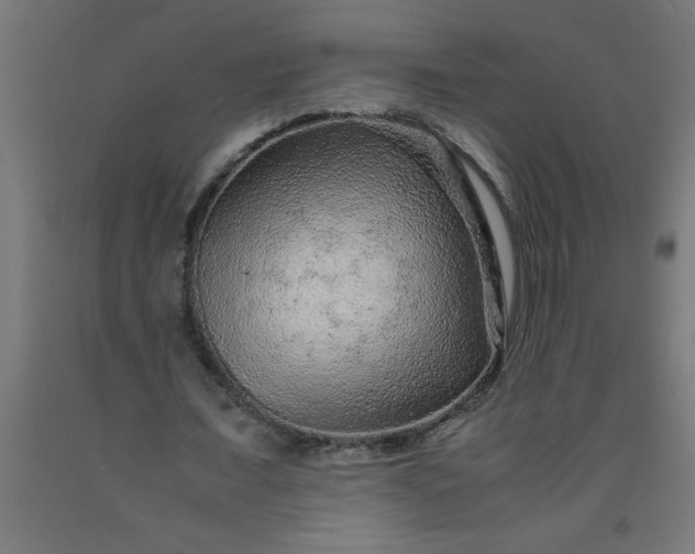 X0000090620675200707311244