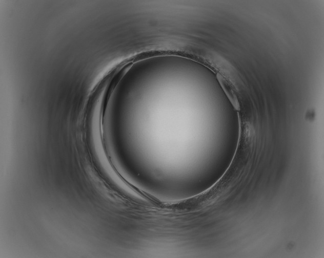 X0000090620676200707311244