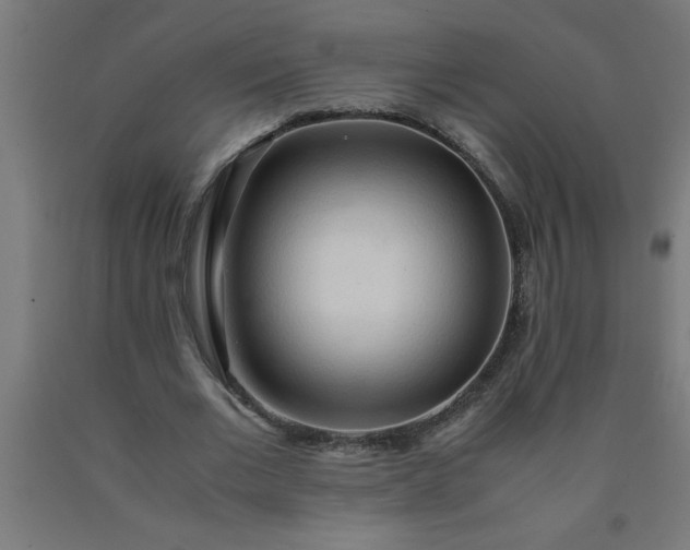 X0000090620677200707311244