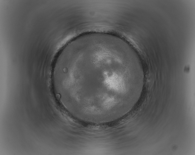 X0000090620679200707311244