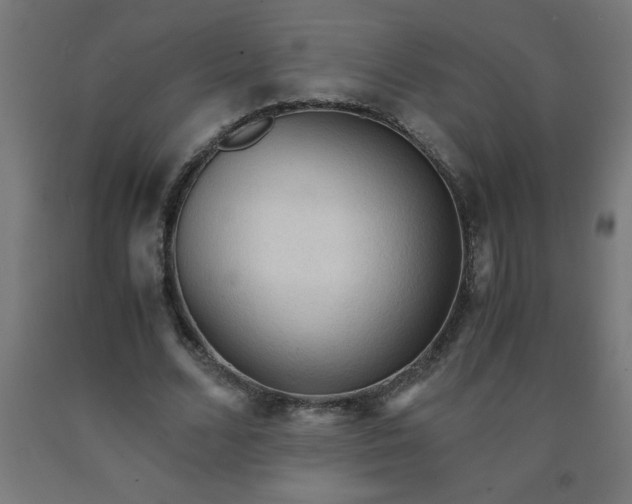 X0000090620680200707311244