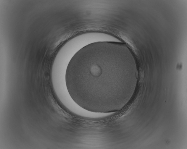 X0000090620681200707311244