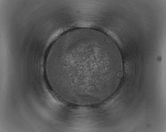 X0000090620682200707311244