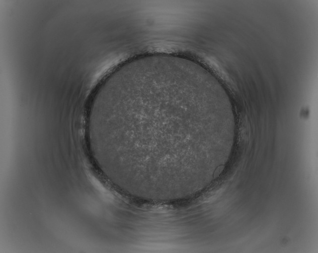 X0000090620683200707311244