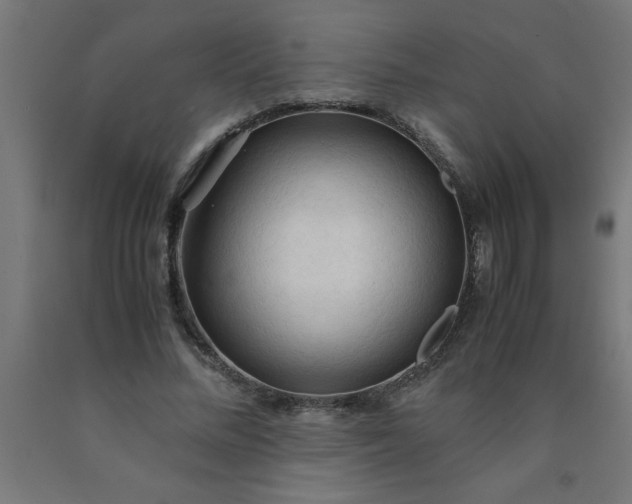 X0000090620684200707311244