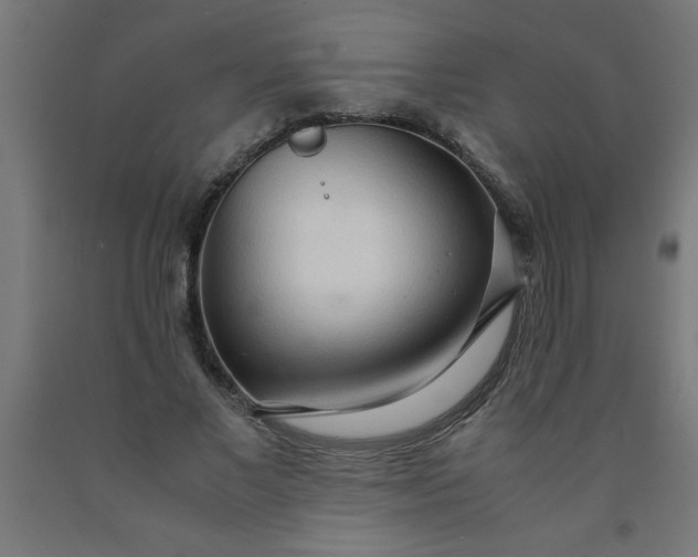 X0000090620685200707311244
