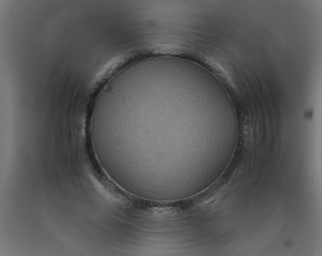 X0000090620686200707311244
