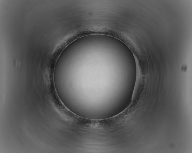 X0000090620688200707311244