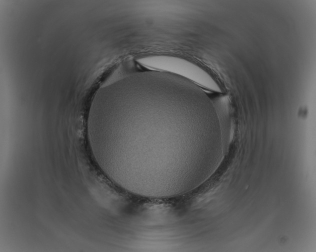 X0000090620689200707311244