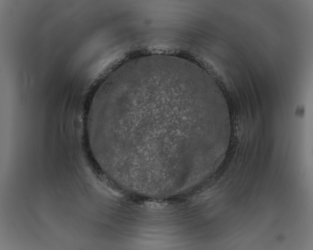 X0000090620690200707311244