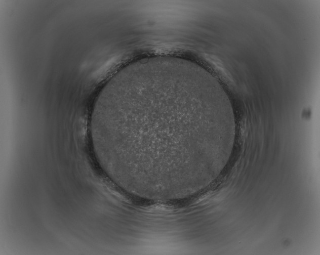 X0000090620691200707311244