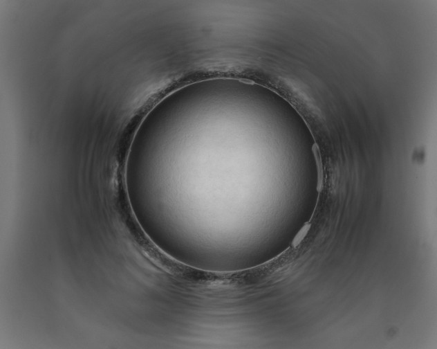 X0000090620692200707311244