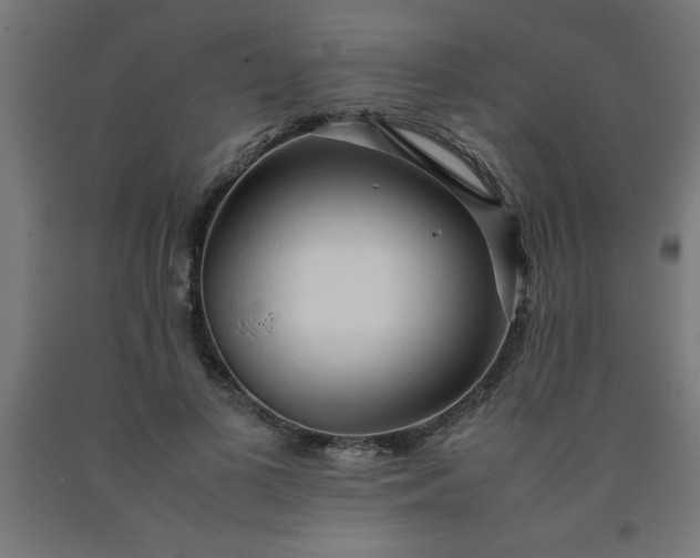 X0000090620693200707311244