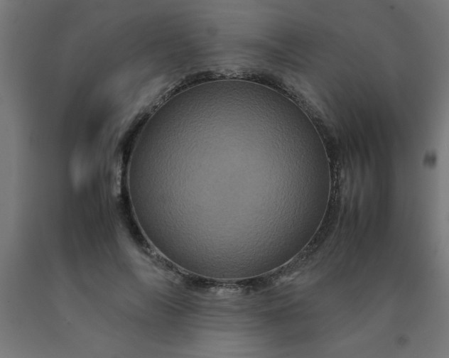 X0000090620694200707311244