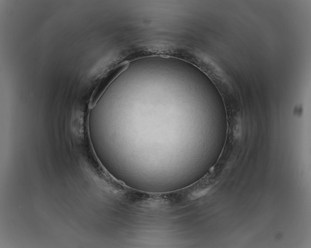 X0000090620696200707311244