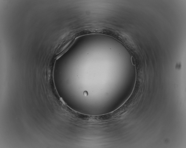X0000090620697200707311244