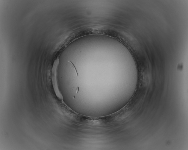 X0000090620698200707311244