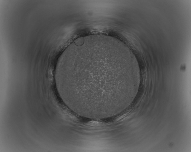 X0000090620699200707311244