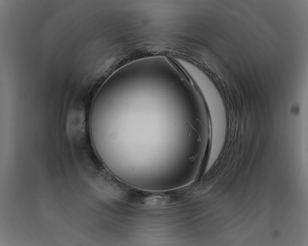 X0000090620700200707311244