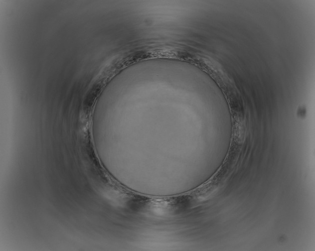 X0000090620701200707311244