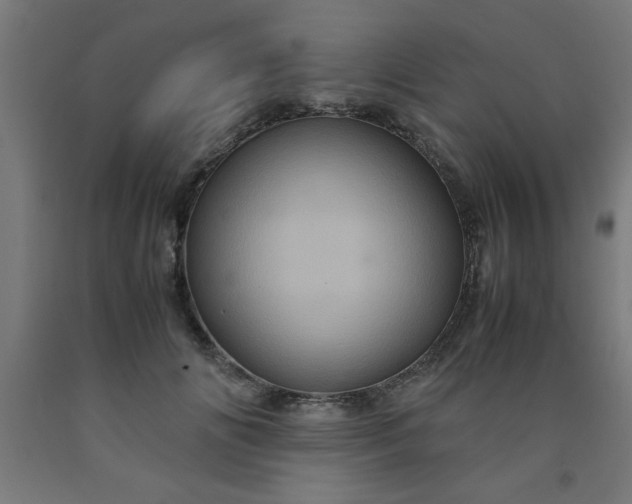 X0000090620702200707311244