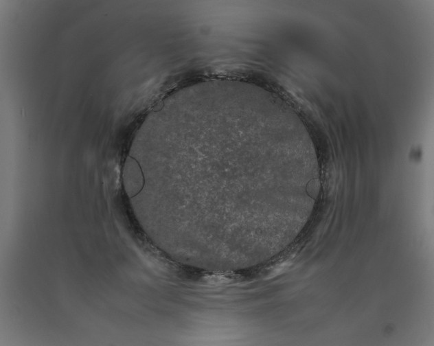 X0000090620703200707311244