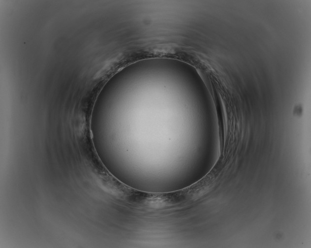 X0000090620704200707311244